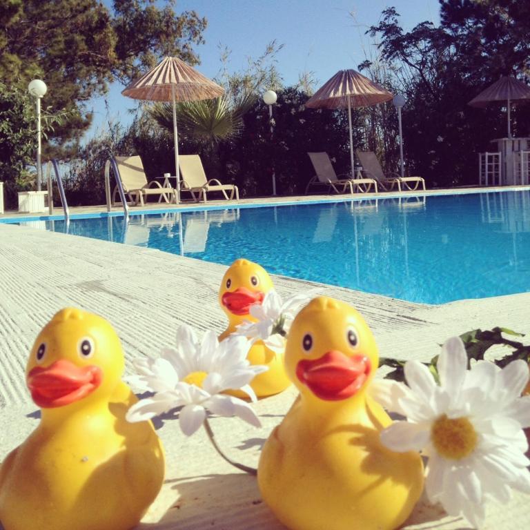 Home Hotel (Adults Only) 헐소니소스 객실 사진